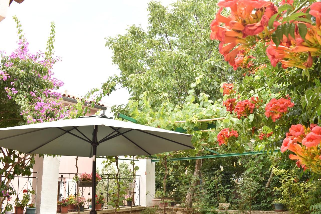 Holiday House Letizia Premantura Exterior photo